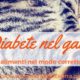 diabete nel gatto