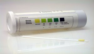 valutazione urine cane diabetico