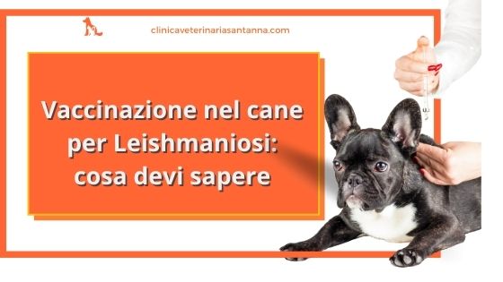 vaccino leishmaniosi cane